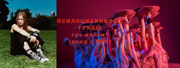 ГАЛЛЮЦИНОГЕННЫЕ ГРИБЫ Арсеньев