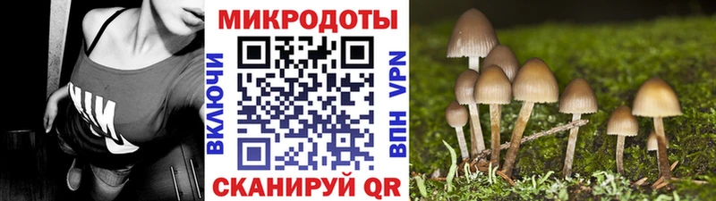 Галлюциногенные грибы Cubensis  купить наркотик  kraken ссылки  Хвалынск 